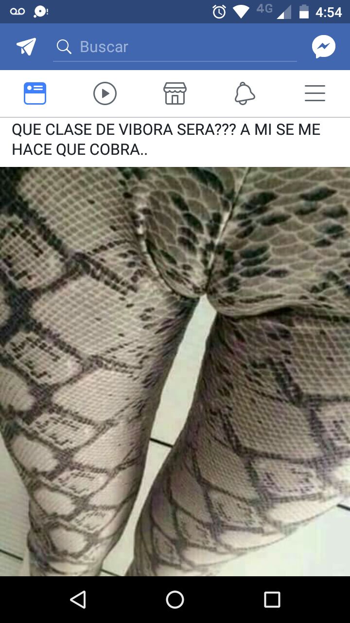WhatsApp Image 2018-12-21 at 17.05.45.jpeg