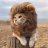 Leoncito